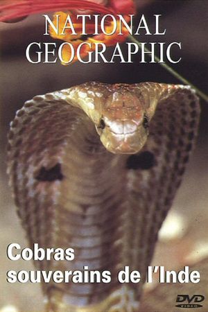 National Geographic : Cobras souverains de l'inde's poster image