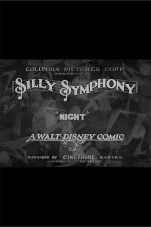 Night's poster