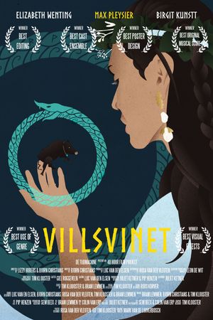 Villsvinet's poster