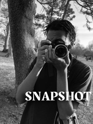 Snapshot's poster