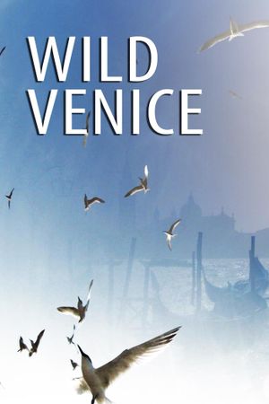 Wild Venice's poster