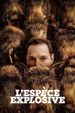 Too Many Beasts's poster