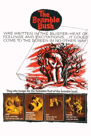 The Bramble Bush's poster