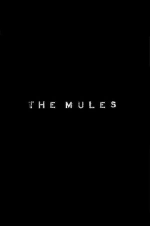 Mules's poster