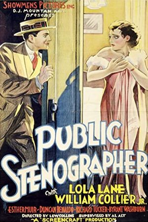 Public Stenographer's poster