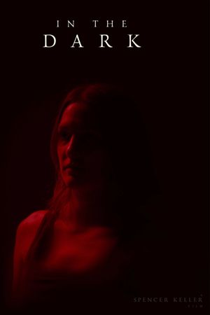 In the Dark's poster image