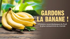 Gardons la banane !'s poster