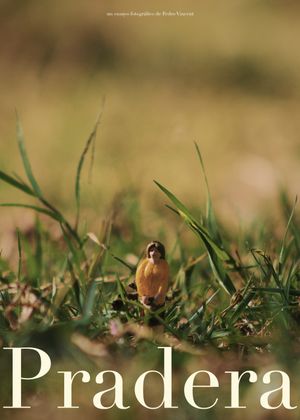 Pradera's poster