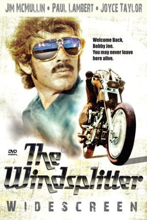 The Windsplitter's poster