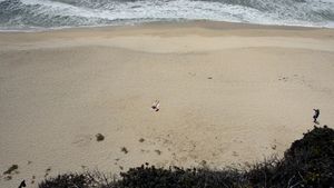 European Man...American Beach's poster