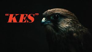 Kes's poster