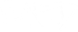 Bird's poster