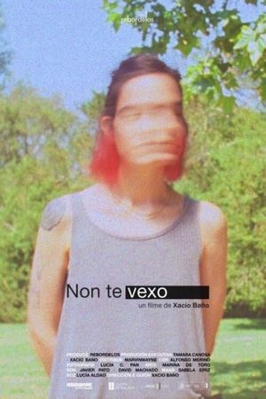 Non te vexo's poster