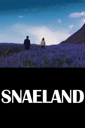 Snaeland's poster