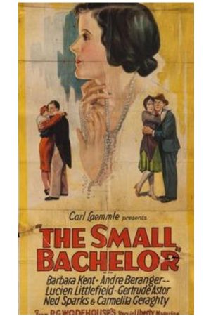 The Small Bachelor's poster