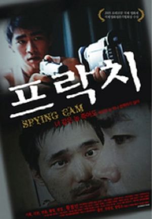 Spying Cam's poster