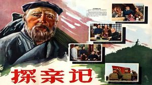 探亲记's poster
