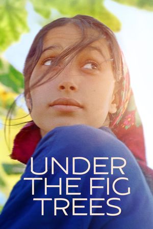 Under the Fig Trees's poster