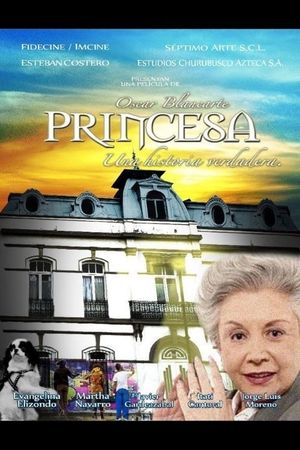 Princess, a true story's poster