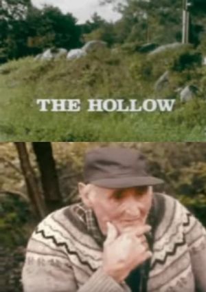 The Hollow's poster