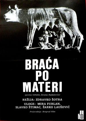 Braca po materi's poster