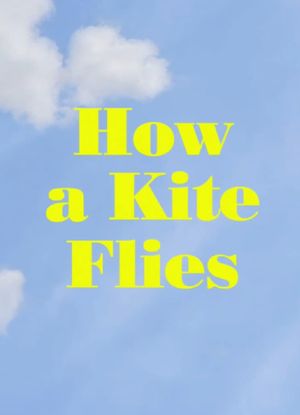 How a Kite Flies's poster