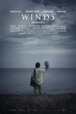 Winds's poster