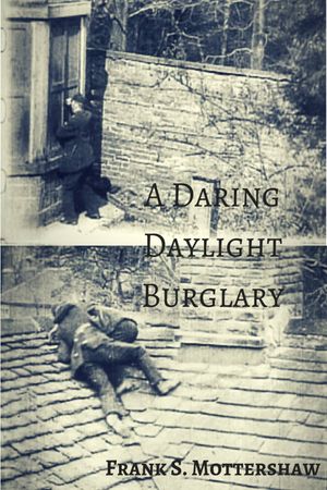 A Daring Daylight Burglary's poster