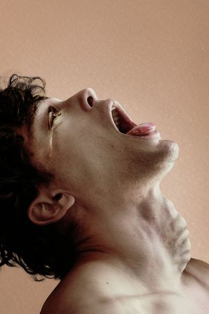 Swallowed's poster