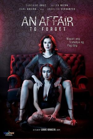 An Affair to Forget's poster