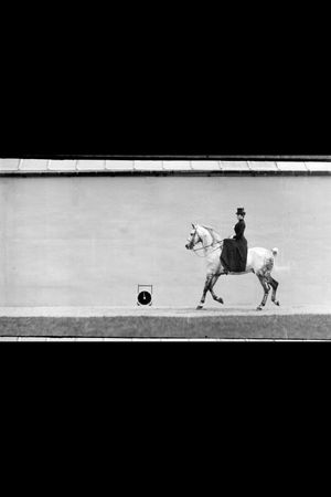 Bay Horse, Ridden by Thérèse Rentz, Canter's poster