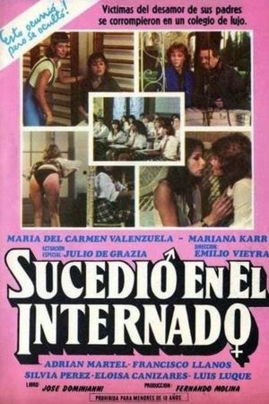Sucedió en el internado's poster