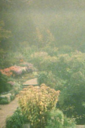 In the Garden's poster image