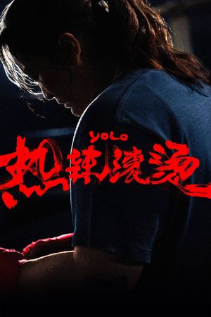 Yolo's poster