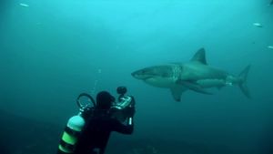 Great White Shark: A Living Legend's poster