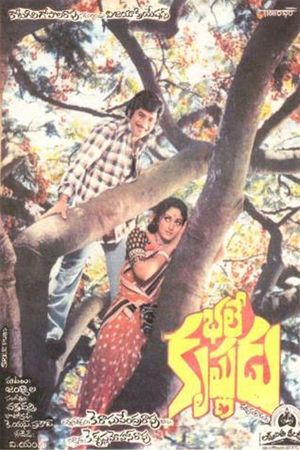 Bhale Krishnudu's poster