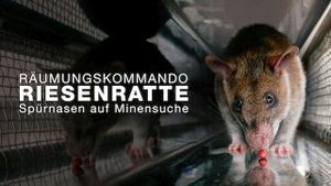 Räumkommando Riesenratte - Spürnasen auf Minensuche's poster