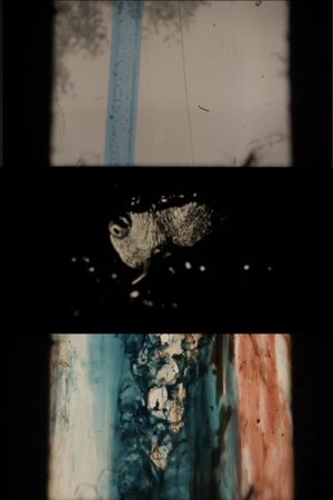 The Rip's poster