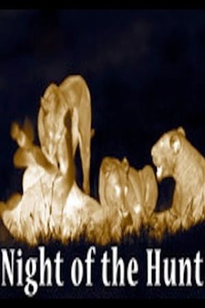 Night of the Hunt's poster