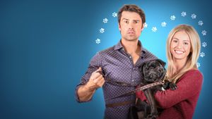 The Dog Lover's Guide to Dating's poster