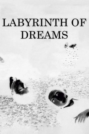 Labyrinth of Dreams's poster