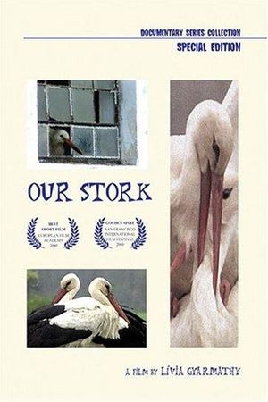 Our Stork's poster