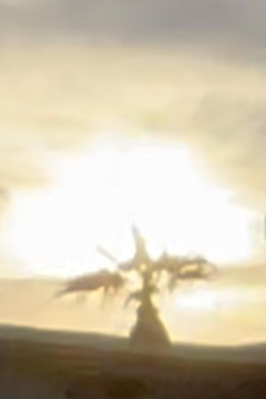Sunset's poster