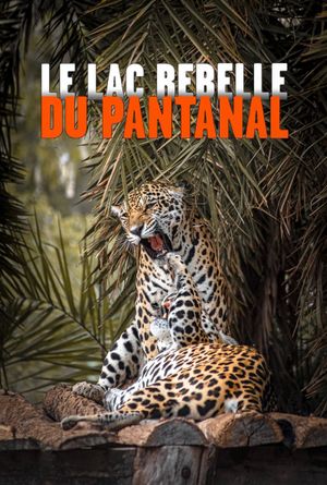 The Pantanal's Rebel Lake's poster