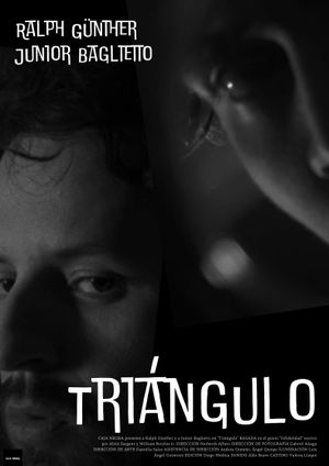 Triangle's poster