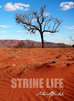 Strine Life's poster image