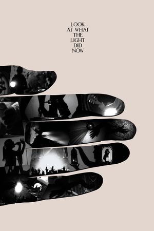 Look at What the Light Did Now's poster