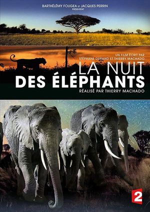 La nuit des éléphants's poster image