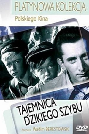 Tajemnica dzikiego szybu's poster