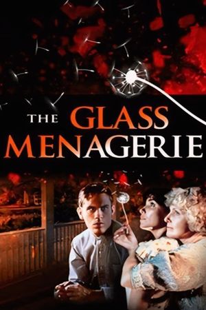 The Glass Menagerie's poster